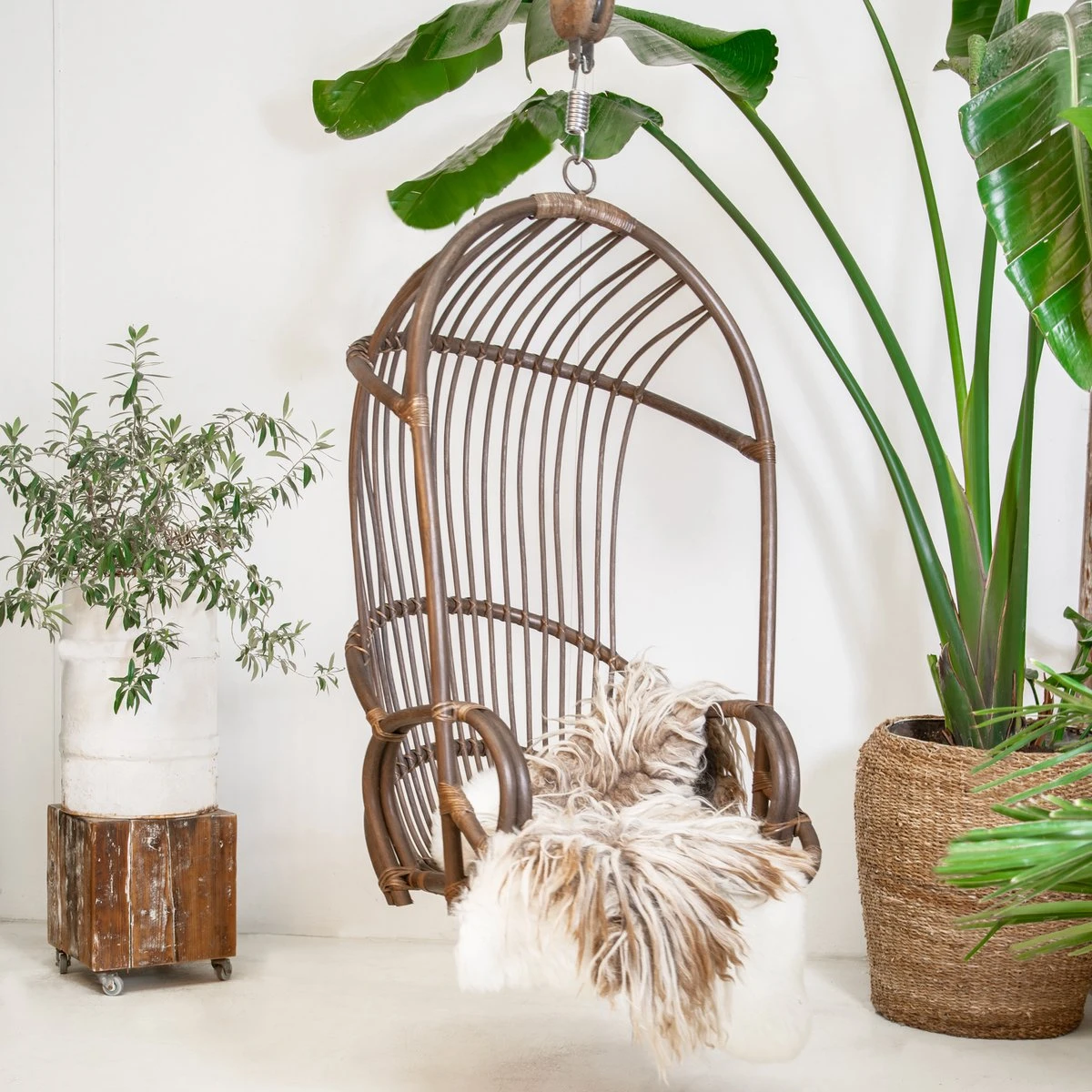 Moodadventures | Chaises Suspendues | Chaise Suspendue The Vintage Dark Rattan | Capacité De Charge 200 Kg. 4 Moodadventures | Chaises Suspendues | Chaise Suspendue The Vintage Dark Rattan | Capacité De Charge 200 Kg. – Image 4