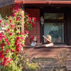 Ensemble De Jardin Relaxdays 3 Pièces - Vintage - Ensemble Balcon - Ensemble Bistro - Meubles De Balcon - Aluminium Noir-bronze -Jardin Meubles Magasin 1200x1200 1680