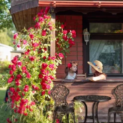 Ensemble Bistro Relaxdays 3 Pièces - Ensemble De Meubles De Balcon - Table De Bistro - Chaise De Bistro - Chaise De Balcon -Jardin Meubles Magasin 1200x1200 1697