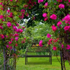 Relaxdays Banc De Jardin Antique - Banc De Parc - Banc De Balcon Deux Places - Fonte - Banc De Jardin Schwarz-Bronze 16 Relaxdays Banc De Jardin Antique - Banc De Parc - Banc De Balcon Deux Places - Fonte - Banc De Jardin Schwarz-Bronze -Jardin Meubles Magasin 1200x1200 446