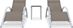 VidaXL Ensemble De Chaises Longues - 2 Pièces - Avec Table - Grijs Taupe - Sun Longues - Chaise Longue - Soleil - Jardin - Ensemble De Chaises Longues - 2 Pièces -Jardin Meubles Magasin 1200x467