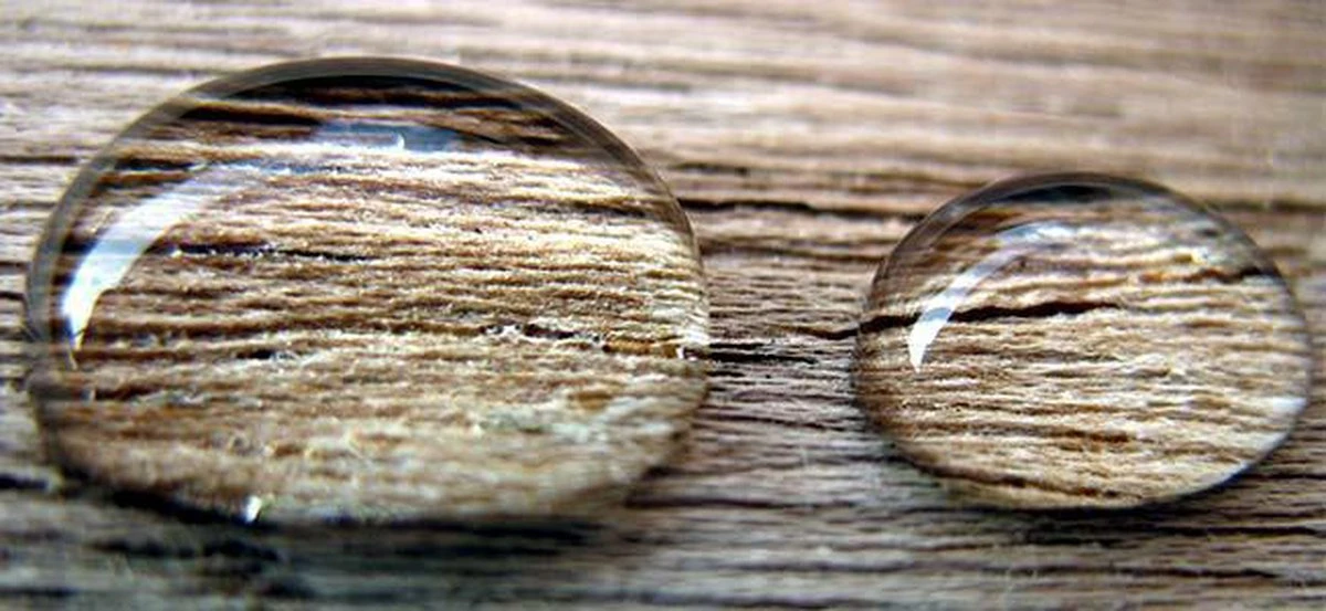 Woodseal Pro - Imprégnation Du Bois | Imperméabilisation Du Bois | Traiter Le Bois - Imprégner 5 Litres De Bois 5 Woodseal Pro - Imprégnation Du Bois | Imperméabilisation Du Bois | Traiter Le Bois - Imprégner 5 Litres De Bois – Image 5