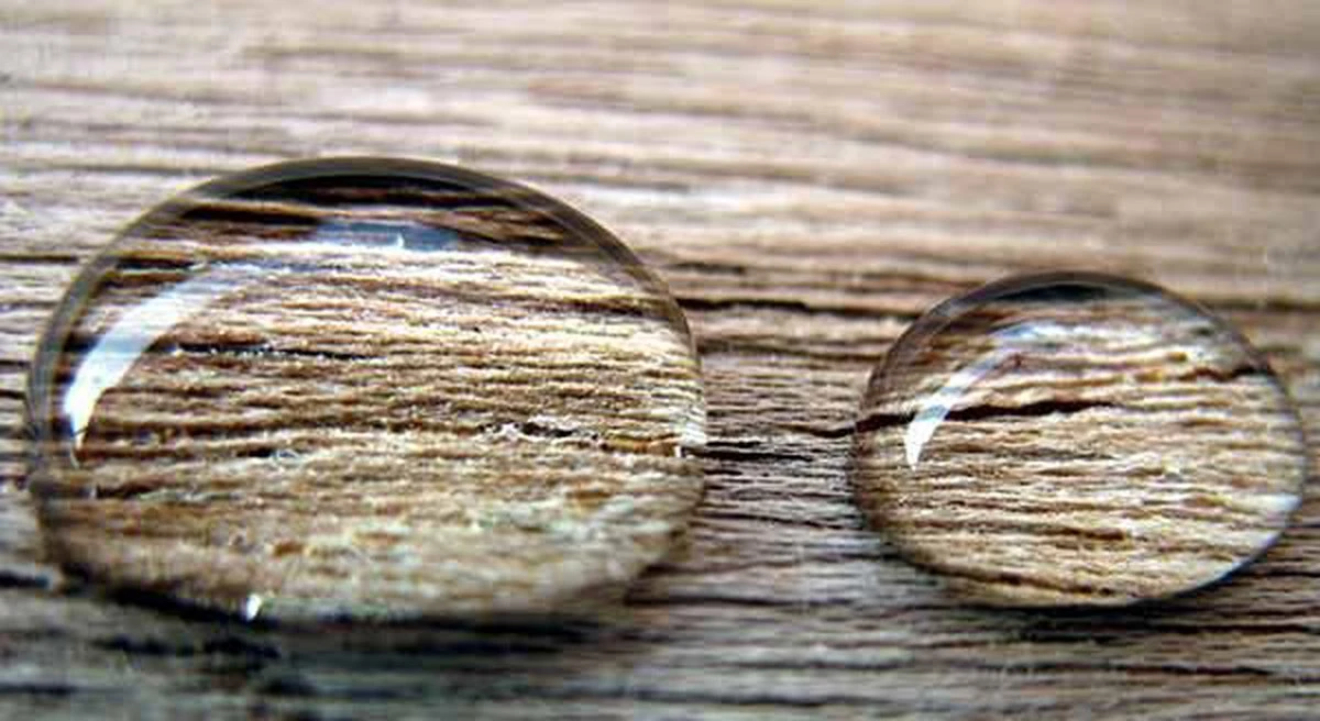 Woodseal Pro - Imprégnation Du Bois | Imperméabilisation Du Bois | Traiter Le Bois - Imprégner 5 Litres De Bois 1 Woodseal Pro - Imprégnation Du Bois | Imperméabilisation Du Bois | Traiter Le Bois - Imprégner 5 Litres De Bois