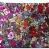 Coussins D'extérieur - Jardin - Un Motif Floral Aux Couleurs Vives - 60x40 Cm