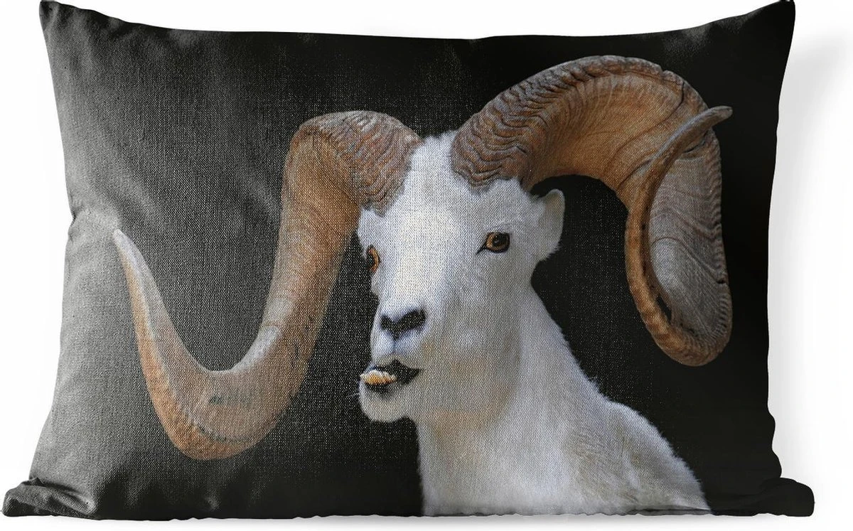 Coussins D'extérieur - Jardin - Buck Aux Grandes Cornes Sur Fond Noir - 60x40 Cm 1 Coussins D'extérieur - Jardin - Buck Aux Grandes Cornes Sur Fond Noir - 60x40 Cm