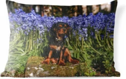Coussins D'extérieur - Jardin - Un Cavalier King Charles Spaniel Parmi Les Fleurs Bleues - 50x30 Cm