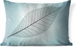 Coussins D'extérieur - Jardin - Sculpture D'un Squelette De Feuille De Feuilles Botaniques En Arrière-plan Avec La Couleur Cyan - 50x30 Cm