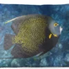 Coussins D'extérieur - Jardin - Poisson D'angle Français Sur Récif De Corail Tropical - 60x40 Cm