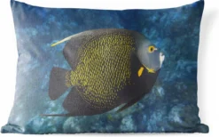 Coussins D'extérieur - Jardin - Poisson D'angle Français Sur Récif De Corail Tropical - 60x40 Cm