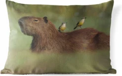 Coussin Sierkussen Capybara Pour L'extérieur - Deux Oiseaux Assis Sur Un Capybara - 50x30 Cm - Coussin De Jardin Rectangulaire Résistant Aux Intempéries / Coussin De Salon De Jardin En Polyester