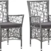 Prolenta Premium - Chaises De Jardin De Jardin 2 Pcs Avec Coussins Poly Rotin Gris