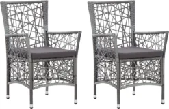 Prolenta Premium - Chaises De Jardin De Jardin 2 Pcs Avec Coussins Poly Rotin Gris