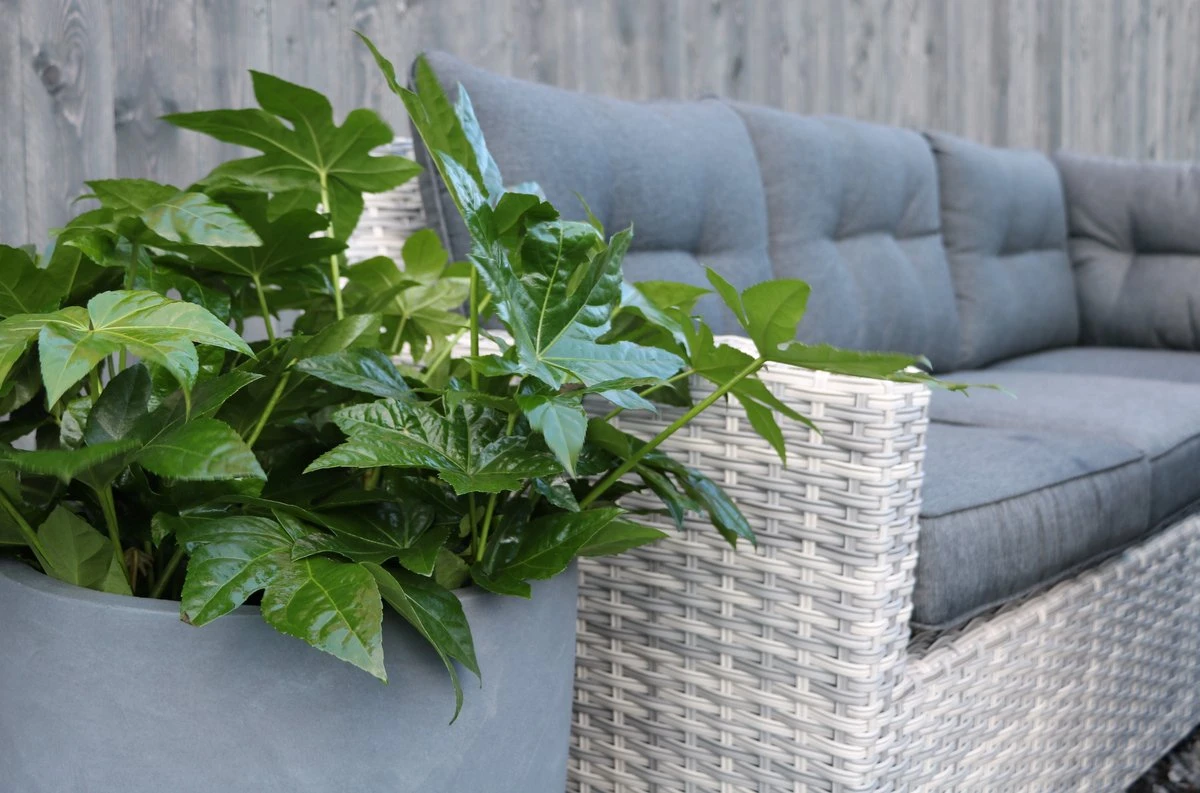 Riviera | Ensemble De Salon Set Angle Ensemble De Salle à Manger Ensemble De Jardin | Osier | Poufs Angle, Table Haute De Jardin, 2 Hockers | 6 Places 2 Riviera | Ensemble De Salon Set Angle Ensemble De Salle à Manger Ensemble De Jardin | Osier | Poufs Angle, Table Haute De Jardin, 2 Hockers | 6 Places – Image 2