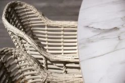 Hartman Cecilia Dining Garden Chair Accoudoirs Ivory Wicker - Set De 2 - MAINTENANT Avec Coussins D'assise Gratuits D'une Valeur De 25,00 € 26 Hartman Cecilia Dining Garden Chair Accoudoirs Ivory Wicker - Set De 2 - MAINTENANT Avec Coussins D'assise Gratuits D'une Valeur De 25,00 € -Jardin Meubles Magasin 1200x799 15