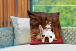 Coussins D'extérieur - Jardin - Bouledogue Français Avec Un Cupcake Sur La Tête - 50x50 Cm -Jardin Meubles Magasin 1200x800 217