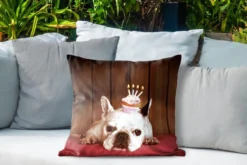 Coussins D'extérieur - Jardin - Bouledogue Français Avec Un Cupcake Sur La Tête - 50x50 Cm -Jardin Meubles Magasin 1200x800 218