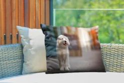 Coussins D'extérieur - Jardin - Un Chiot Golden Retriever Marchant Sur Le Trottoir - 60x40 Cm -Jardin Meubles Magasin 1200x800 233