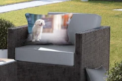 Coussins D'extérieur - Jardin - Un Chiot Golden Retriever Marchant Sur Le Trottoir - 60x40 Cm -Jardin Meubles Magasin 1200x800 235