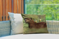 Coussin Sierkussen Capybara Pour L'extérieur - Deux Oiseaux Assis Sur Un Capybara - 50x30 Cm - Coussin De Jardin Rectangulaire Résistant Aux Intempéries / Coussin De Salon De Jardin En Polyester -Jardin Meubles Magasin 1200x800 237
