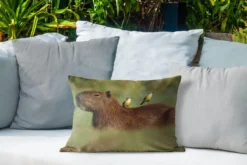 Coussin Sierkussen Capybara Pour L'extérieur - Deux Oiseaux Assis Sur Un Capybara - 50x30 Cm - Coussin De Jardin Rectangulaire Résistant Aux Intempéries / Coussin De Salon De Jardin En Polyester -Jardin Meubles Magasin 1200x800 238