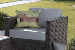 Coussin Sierkussen Capybara Pour L'extérieur - Deux Oiseaux Assis Sur Un Capybara - 50x30 Cm - Coussin De Jardin Rectangulaire Résistant Aux Intempéries / Coussin De Salon De Jardin En Polyester -Jardin Meubles Magasin 1200x800 239