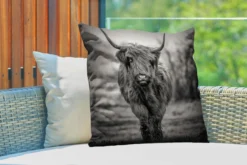 Sierkussen Extérieur - Scottish Highlander - Zwart - Wit - 60x60 Cm - Résistant Aux Intempéries -Jardin Meubles Magasin 1200x800 277