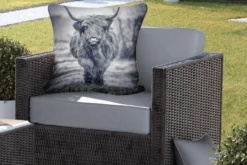Sierkussen Extérieur - Scottish Highlander - Zwart - Wit - 60x60 Cm - Résistant Aux Intempéries -Jardin Meubles Magasin 1200x800 279