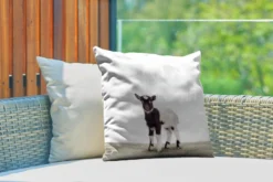 Sierkussen Imprimerie Animalière Pour L'extérieur - Imprimé Animal De Chèvre - 45x45 Cm - Coussin De Jardin Carré Résistant Aux Intempéries / Coussin De Mobilier De Jardin En Polyester -Jardin Meubles Magasin 1200x800 281