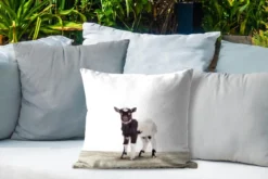 Sierkussen Imprimerie Animalière Pour L'extérieur - Imprimé Animal De Chèvre - 45x45 Cm - Coussin De Jardin Carré Résistant Aux Intempéries / Coussin De Mobilier De Jardin En Polyester -Jardin Meubles Magasin 1200x800 282