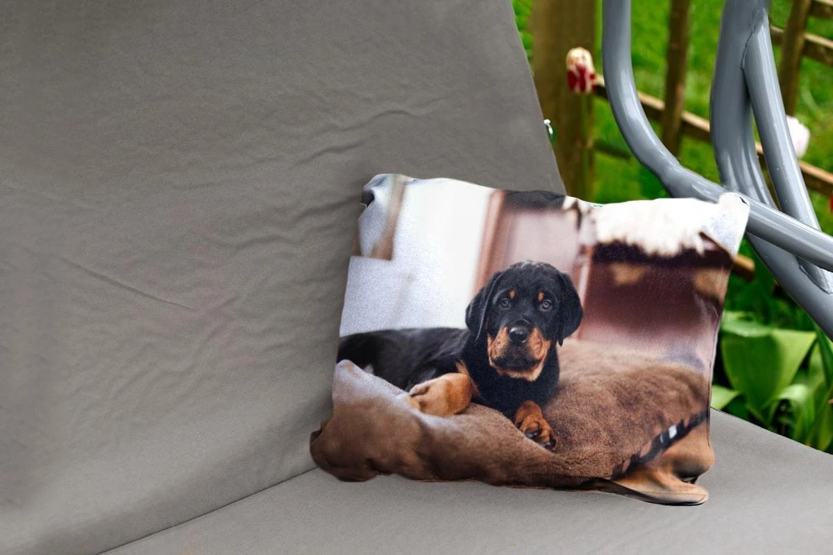 Coussins D'extérieur - Jardin - Chiot Rottweiler Se Couche Sur Un Kussen Moelleux - 50x30 Cm 2 Coussins D'extérieur - Jardin - Chiot Rottweiler Se Couche Sur Un Kussen Moelleux - 50x30 Cm – Image 2