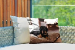 Coussins D'extérieur - Jardin - Chiot Rottweiler Se Couche Sur Un Kussen Moelleux - 50x30 Cm 7 Coussins D'extérieur - Jardin - Chiot Rottweiler Se Couche Sur Un Kussen Moelleux - 50x30 Cm -Jardin Meubles Magasin 1200x800 293