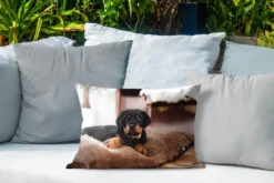 Coussins D'extérieur - Jardin - Chiot Rottweiler Se Couche Sur Un Kussen Moelleux - 50x30 Cm 8 Coussins D'extérieur - Jardin - Chiot Rottweiler Se Couche Sur Un Kussen Moelleux - 50x30 Cm -Jardin Meubles Magasin 1200x800 294