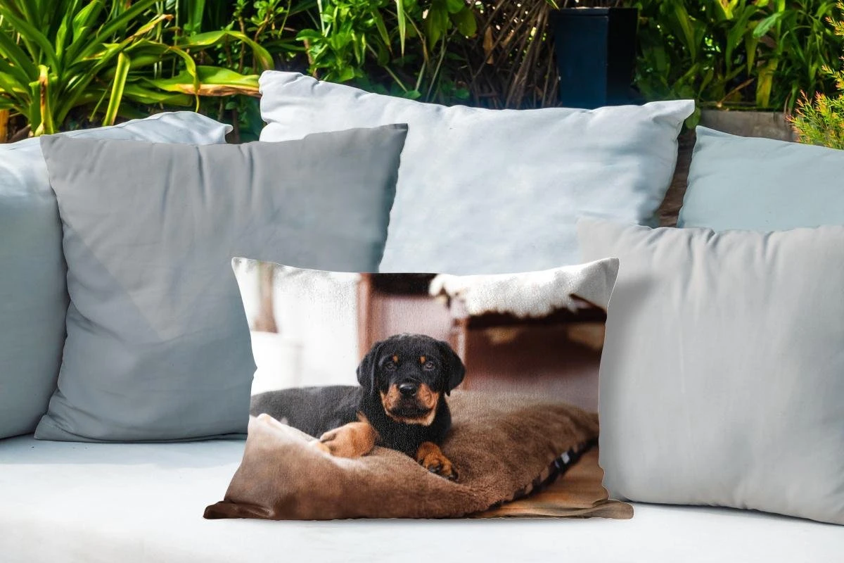 Coussins D'extérieur - Jardin - Chiot Rottweiler Se Couche Sur Un Kussen Moelleux - 50x30 Cm 4 Coussins D'extérieur - Jardin - Chiot Rottweiler Se Couche Sur Un Kussen Moelleux - 50x30 Cm – Image 4