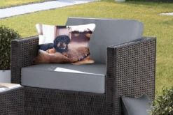 Coussins D'extérieur - Jardin - Chiot Rottweiler Se Couche Sur Un Kussen Moelleux - 50x30 Cm 9 Coussins D'extérieur - Jardin - Chiot Rottweiler Se Couche Sur Un Kussen Moelleux - 50x30 Cm -Jardin Meubles Magasin 1200x800 295