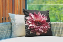 Coussins D'extérieur - Jardin - Fleur De Dahlia Rose Sur Fond Noir - 50x50 Cm 7 Coussins D'extérieur - Jardin - Fleur De Dahlia Rose Sur Fond Noir - 50x50 Cm -Jardin Meubles Magasin 1200x800 372