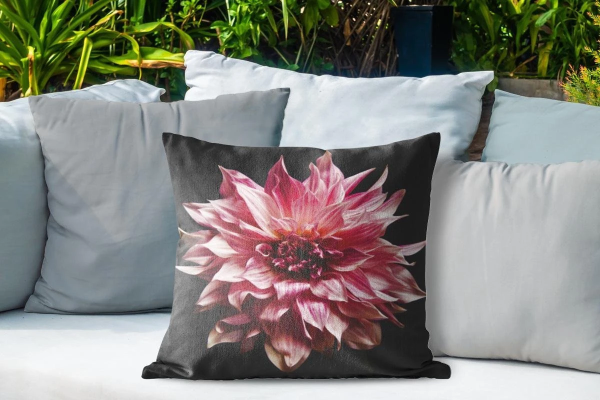 Coussins D'extérieur - Jardin - Fleur De Dahlia Rose Sur Fond Noir - 50x50 Cm 4 Coussins D'extérieur - Jardin - Fleur De Dahlia Rose Sur Fond Noir - 50x50 Cm – Image 4