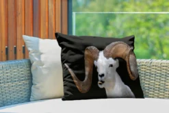 Coussins D'extérieur - Jardin - Buck Aux Grandes Cornes Sur Fond Noir - 60x40 Cm 7 Coussins D'extérieur - Jardin - Buck Aux Grandes Cornes Sur Fond Noir - 60x40 Cm -Jardin Meubles Magasin 1200x800 420