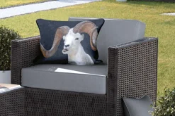 Coussins D'extérieur - Jardin - Buck Aux Grandes Cornes Sur Fond Noir - 60x40 Cm 9 Coussins D'extérieur - Jardin - Buck Aux Grandes Cornes Sur Fond Noir - 60x40 Cm -Jardin Meubles Magasin 1200x800 422