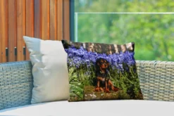 Coussins D'extérieur - Jardin - Un Cavalier King Charles Spaniel Parmi Les Fleurs Bleues - 50x30 Cm -Jardin Meubles Magasin 1200x800 460