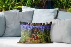 Coussins D'extérieur - Jardin - Un Cavalier King Charles Spaniel Parmi Les Fleurs Bleues - 50x30 Cm -Jardin Meubles Magasin 1200x800 461