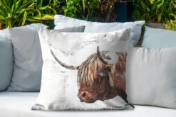 Sierkussen Extérieur - Scottish Highlander - Journal - Abstrait - 60x60 Cm - Résistant Aux Intempéries -Jardin Meubles Magasin 1200x800 493