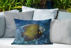 Coussins D'extérieur - Jardin - Poisson D'angle Français Sur Récif De Corail Tropical - 60x40 Cm -Jardin Meubles Magasin 1200x800 497