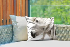 Coussins D'extérieur - Jardin - Portrait D'un Cheval Blanc à Longue Crinière - 50x30 Cm -Jardin Meubles Magasin 1200x800 504