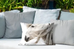 Coussins D'extérieur - Jardin - Portrait D'un Cheval Blanc à Longue Crinière - 50x30 Cm -Jardin Meubles Magasin 1200x800 505