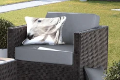 Coussins D'extérieur - Jardin - Portrait D'un Cheval Blanc à Longue Crinière - 50x30 Cm -Jardin Meubles Magasin 1200x800 506
