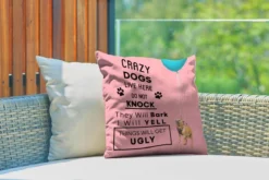 Coussins D'extérieur - Jardin - Citation De Chiens 'Crazy Dogs Live Here' Et Fond Rose Avec Chiens Volants - 40x40 Cm -Jardin Meubles Magasin 1200x800 512