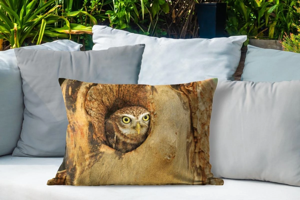 Coussins D'extérieur - Jardin - Chouette Marron Regardant Par Un Trou Dans Un Arbre - 60x40 Cm 4 Coussins D'extérieur - Jardin - Chouette Marron Regardant Par Un Trou Dans Un Arbre - 60x40 Cm – Image 4