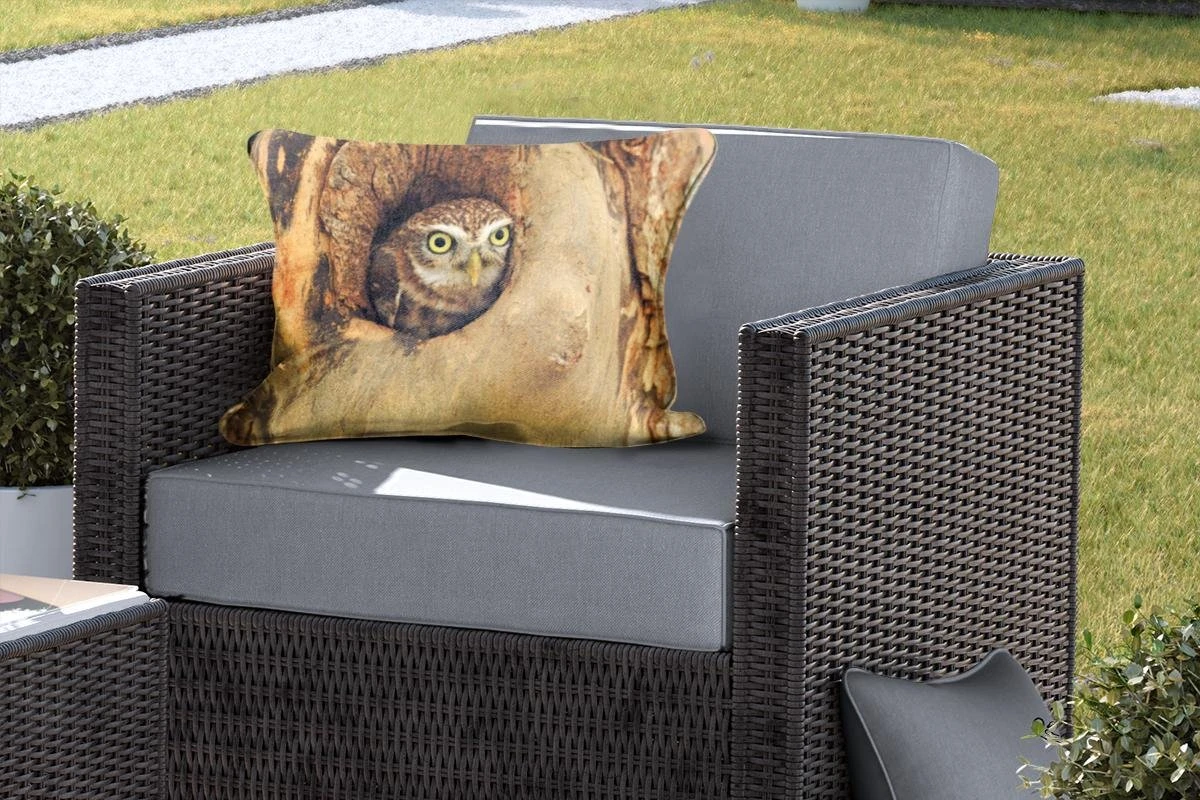 Coussins D'extérieur - Jardin - Chouette Marron Regardant Par Un Trou Dans Un Arbre - 60x40 Cm 5 Coussins D'extérieur - Jardin - Chouette Marron Regardant Par Un Trou Dans Un Arbre - 60x40 Cm – Image 5