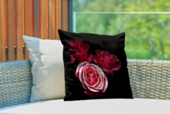 Sierkussen Rose Rose Pour L'extérieur - Une Photo De Roses Roses Sur Fond Noir - 45x45 Cm - Coussin De Jardin Carré Résistant Aux Intempéries / Coussin De Mobilier De Jardin En Polyester -Jardin Meubles Magasin 1200x800 552