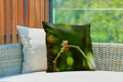Coussins D'extérieur - Jardin - Grenouille Aux Yeux Rouges Sur Branche - 45x45 Cm -Jardin Meubles Magasin 1200x800 556